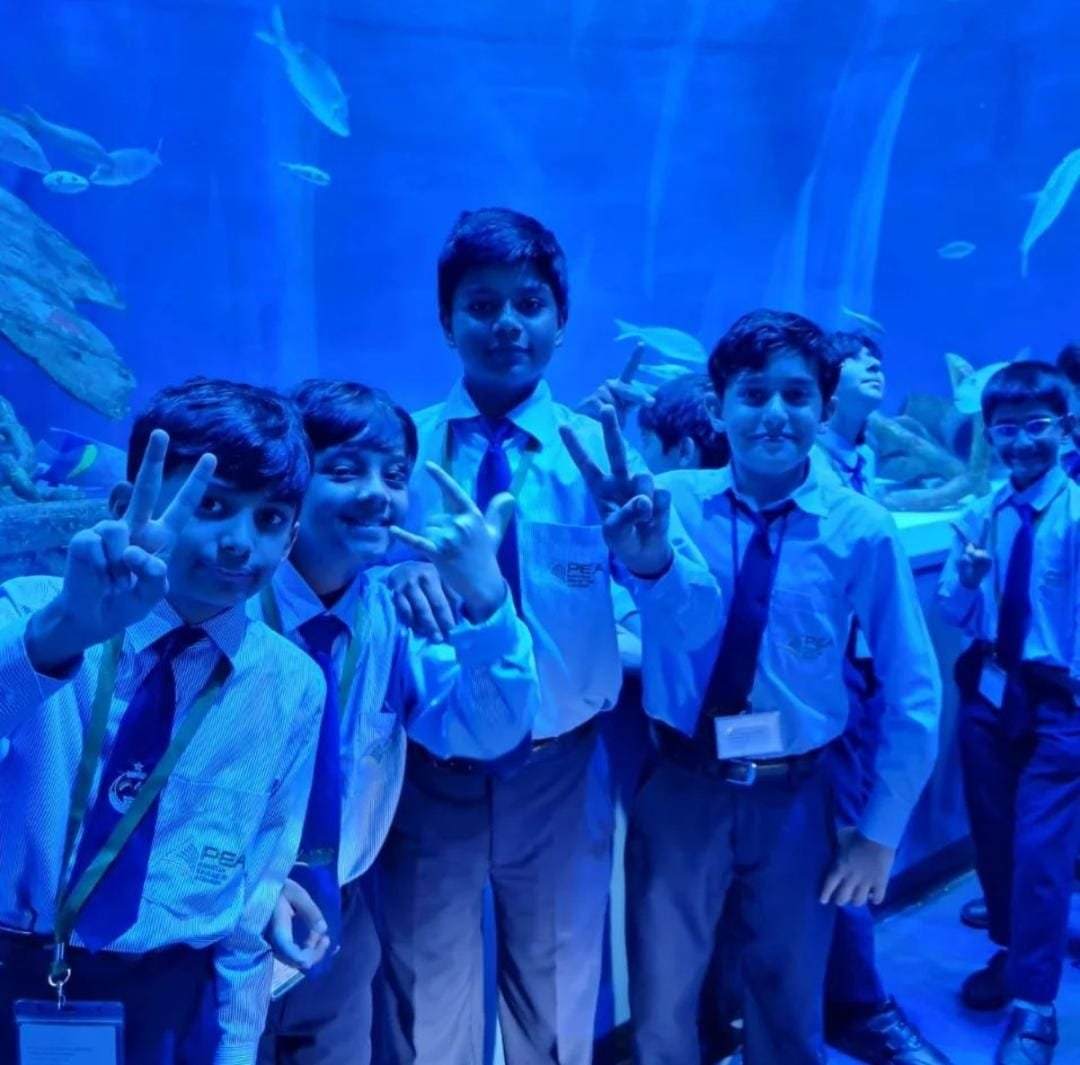 School Activity